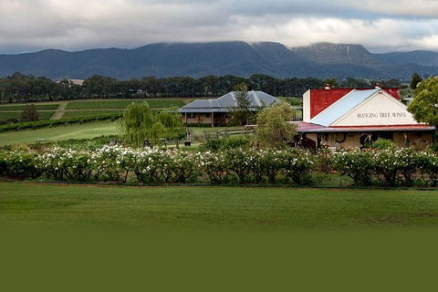 Hunter Valley Highlights Private Wine Tour From Sydney - Northern Rivers Accommodation 5