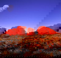 Kata Tjuta Afternoon Walpa Gorge Tour - Northern Rivers Accommodation