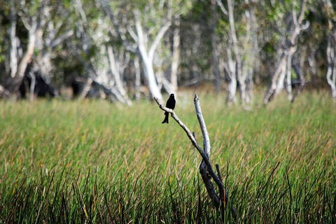 ETHICAL ADVENTURES - Dry Season Litchfield Region, Max 10 Guests - Northern Rivers Accommodation 2