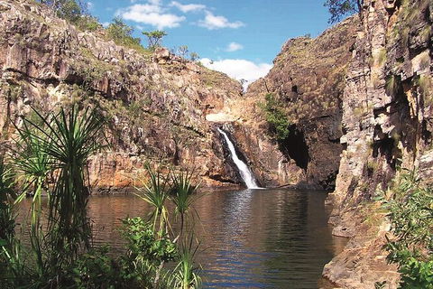 Kakadu, Katherine & Litchfield Adventure - Northern Rivers Accommodation 1