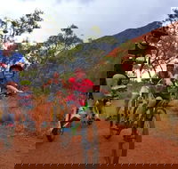 From Yulara Discover Uluru Half Day Bike Tour - Northern Rivers Accommodation