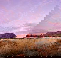 Sunset Australian Barbecue Dinner in Uluru - Northern Rivers Accommodation