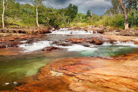 Full-Day Private Guided Tour To Litchfield National Park - Northern Rivers Accommodation 14