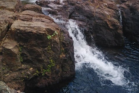 Full-Day Private Guided Tour To Litchfield National Park - Northern Rivers Accommodation 8