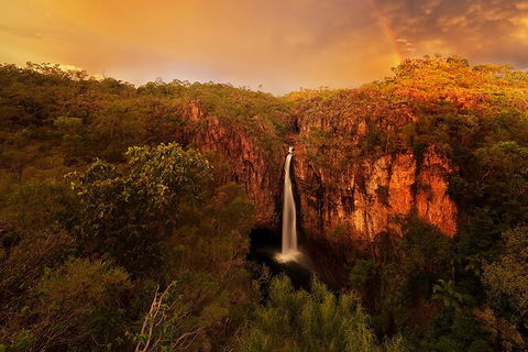 Full-Day Private Guided Tour To Litchfield National Park - Northern Rivers Accommodation 20
