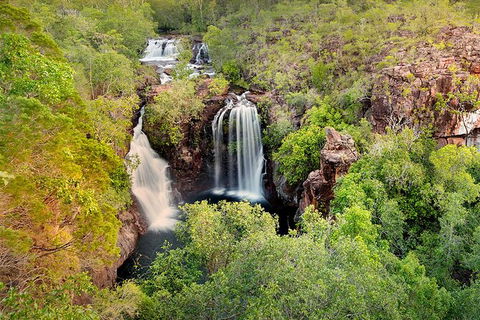 Full-Day Private Guided Tour To Litchfield National Park - Northern Rivers Accommodation 0