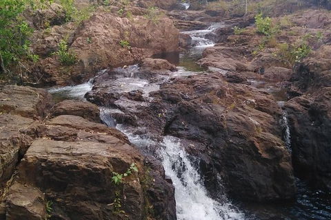 Full-Day Private Guided Tour To Litchfield National Park - Northern Rivers Accommodation 15