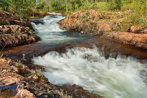 Full-Day Private Guided Tour To Litchfield National Park - Northern Rivers Accommodation 3