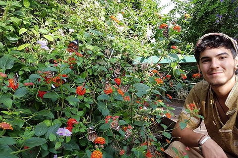 Full-Day Private Guided Tour To Litchfield National Park - Northern Rivers Accommodation 17