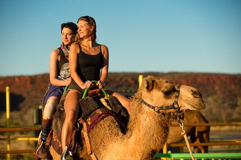 4 Day/3 Night Perentie Dreaming Safari - Northern Rivers Accommodation 1