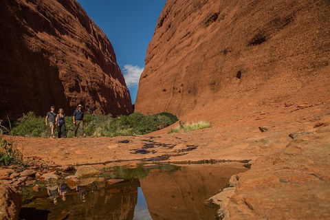 4 Day/3 Night Perentie Dreaming Safari - Northern Rivers Accommodation 3