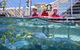 Outer Reef Pontoon Experience From Cairns - thumb 8