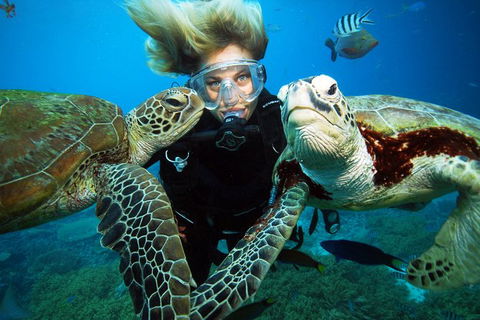 Outer Reef Pontoon Experience From Cairns - Northern Rivers Accommodation 4