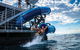 Outer Reef Pontoon Experience From Cairns - thumb 1