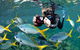 Outer Reef Pontoon Experience From Cairns - thumb 10