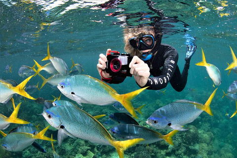Outer Reef Pontoon Experience From Cairns - Northern Rivers Accommodation 10
