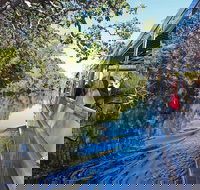 Serenity Cruise to Australia's Everglades - Northern Rivers Accommodation