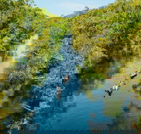 Cruise 'n' Canoe to Australia's Everglades - Northern Rivers Accommodation