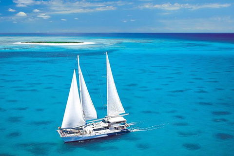 Ocean Spirit Michaelmas Cay Dive And Snorkel Cruise From Cairns - Northern Rivers Accommodation 0