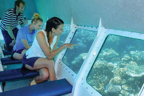 Ocean Spirit Michaelmas Cay Dive And Snorkel Cruise From Cairns - Northern Rivers Accommodation 5