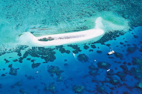 Ocean Spirit Michaelmas Cay Dive And Snorkel Cruise From Cairns - Northern Rivers Accommodation 4