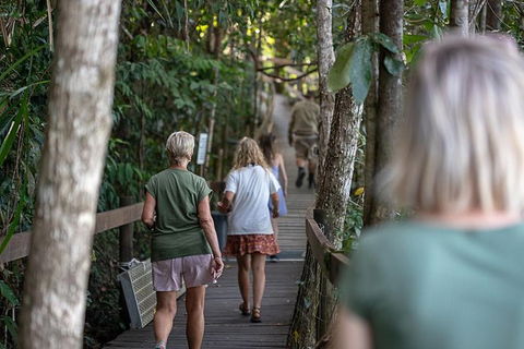 Daintree Rainforest, Cape Tribulation And Bloomfield Track Small Group Tour - Northern Rivers Accommodation 15