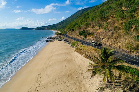 Daintree Rainforest, Cape Tribulation And Bloomfield Track Small Group Tour - Northern Rivers Accommodation 4