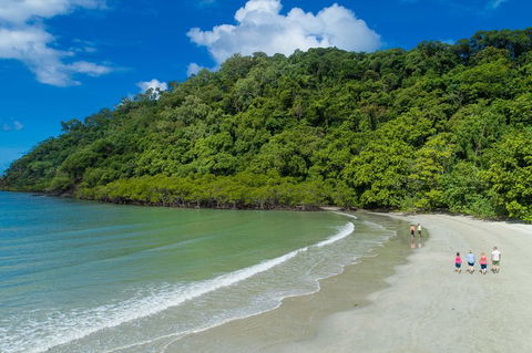 Daintree Rainforest, Cape Tribulation And Bloomfield Track Small Group Tour - Northern Rivers Accommodation 2