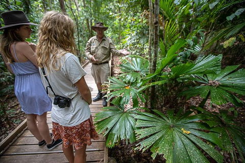 Daintree Rainforest, Cape Tribulation And Bloomfield Track Small Group Tour - Northern Rivers Accommodation 12