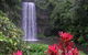 The Original Day Tour To Paronella Park, Lake Barrine And Millaa Millaa Falls - thumb 0