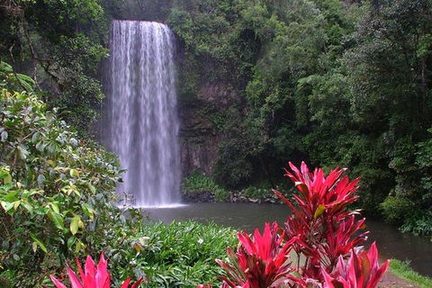 The Original Day Tour To Paronella Park, Lake Barrine And Millaa Millaa Falls - Northern Rivers Accommodation 0