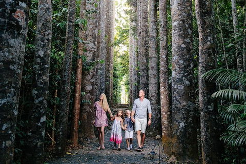 The Original Day Tour To Paronella Park, Lake Barrine And Millaa Millaa Falls - Northern Rivers Accommodation 14