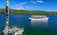 The Original Day Tour To Paronella Park, Lake Barrine And Millaa Millaa Falls - thumb 12