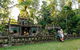 The Original Day Tour To Paronella Park, Lake Barrine And Millaa Millaa Falls - thumb 6