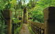 The Original Day Tour To Paronella Park, Lake Barrine And Millaa Millaa Falls - thumb 1