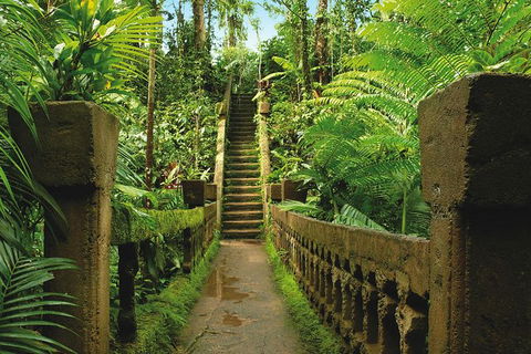 The Original Day Tour To Paronella Park, Lake Barrine And Millaa Millaa Falls - Northern Rivers Accommodation 1