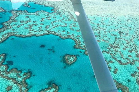 Whitsunday Islands 1-Hour Reef Scenic Helicopter Tour - Northern Rivers Accommodation 3