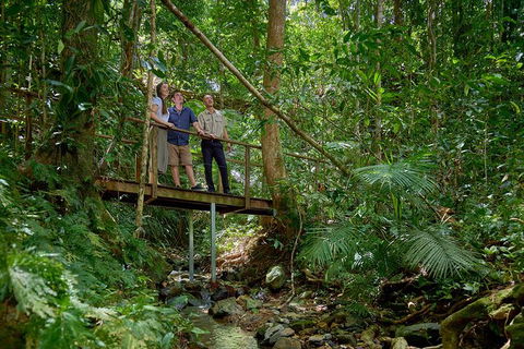 Daintree And Cape Tribulation Tour From Cairns - Northern Rivers Accommodation 3