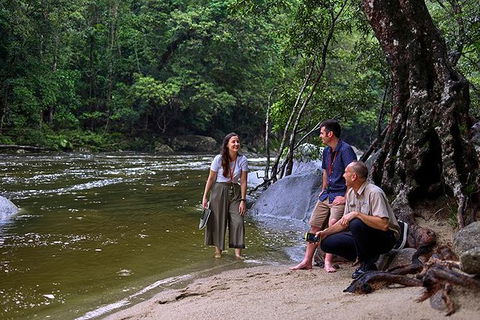 Daintree And Cape Tribulation Tour From Cairns - Northern Rivers Accommodation 2