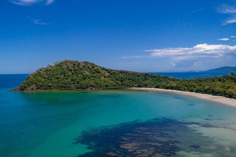 Daintree And Cape Tribulation Tour From Cairns - Northern Rivers Accommodation 7