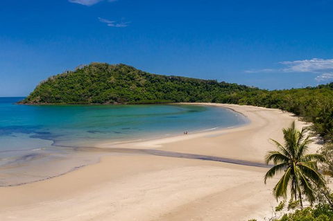 Daintree And Cape Tribulation Tour From Cairns - Northern Rivers Accommodation 8