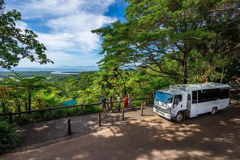 Daintree And Cape Tribulation Tour From Cairns - Northern Rivers Accommodation 5