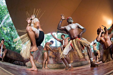 Kuranda Highlights Including Rainforestation Aboriginal Culture And Wildlife - Northern Rivers Accommodation 3