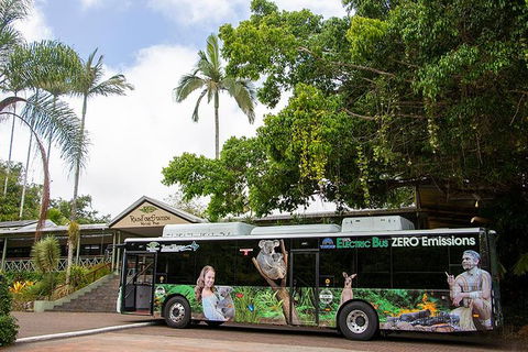 Kuranda Highlights Including Rainforestation Aboriginal Culture And Wildlife - Northern Rivers Accommodation 4