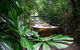 Kuranda Highlights Including Rainforestation Aboriginal Culture And Wildlife - thumb 1
