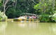 Kuranda Highlights Including Rainforestation Aboriginal Culture And Wildlife - thumb 5