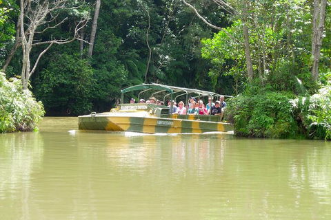Kuranda Highlights Including Rainforestation Aboriginal Culture And Wildlife - Northern Rivers Accommodation 5