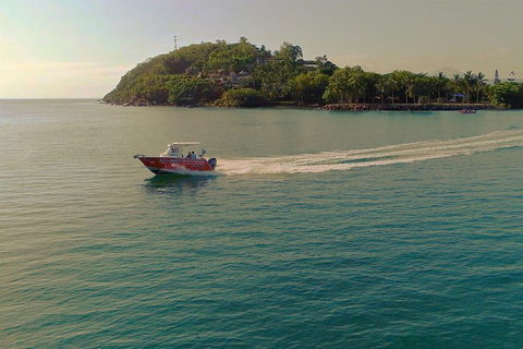 Out N About Sportfishing For Share And Private Charters On Reef And Estuary - Northern Rivers Accommodation 4