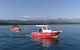 Out N About Sportfishing For Share And Private Charters On Reef And Estuary - thumb 5