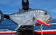 Out N About Sportfishing For Share And Private Charters On Reef And Estuary - thumb 1
